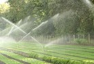 Charlotte Baylandscaping-water-management-and-drainage-17.jpg; ?>